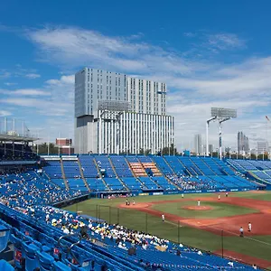 *** Hotel Nihon Seinenkan Japon